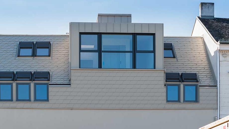 roto-outside-house